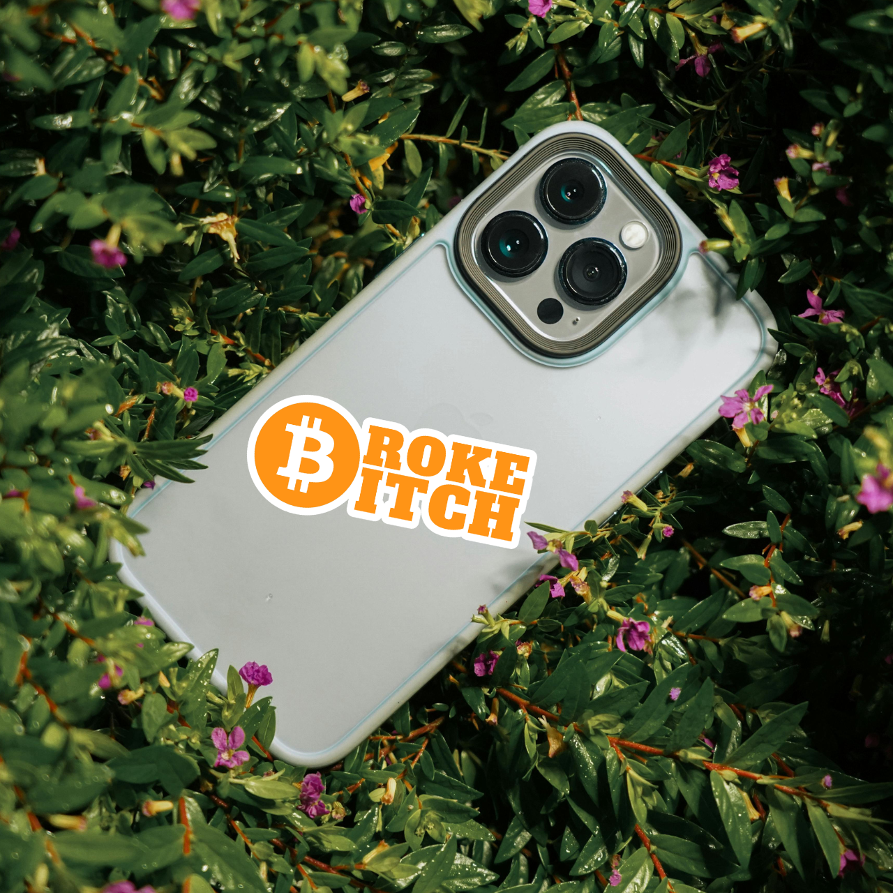Broke Bitch Bitcoin Meme Sticker
